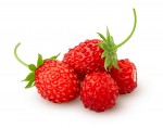 Essence - Wild Strawberry