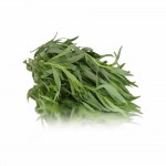 Tarragon FRESH