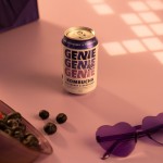 Kombucha Blueberry & Raspberry, Can - GENIE