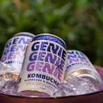 Kombucha Blueberry & Raspberry, Can - GENIE