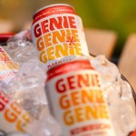 Kombucha Fiery Ginger, Case - GENIE