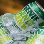 Kombucha Dry Apple, Case – GENIE