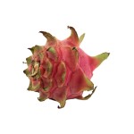 DRAGONFRUIT