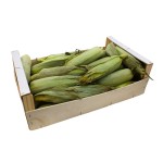 Corn on the Cob Fresh, Case