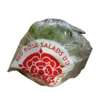 Flat Lettuce