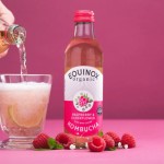 Kombucha, Raspberry & Elderflower