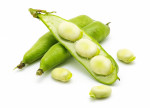 Broad Beans