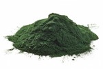 Chlorella Powder