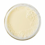 Soya Cream - Provamel
