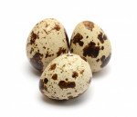 Quail Eggs in Brine Jar