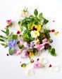 Edible Flowers Punnet