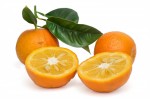 Oranges Seville Thin Cut MaMade