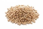 Pearl Barley