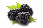 Boiron Blackberry Puree