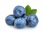 Boiron Blueberry Puree