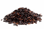 Wild Black Canadian Rice