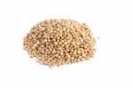 Sorghum Seeds Juwar Whole