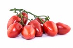 Tomatoes Datterino on Vine