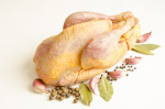 Guinea Fowl