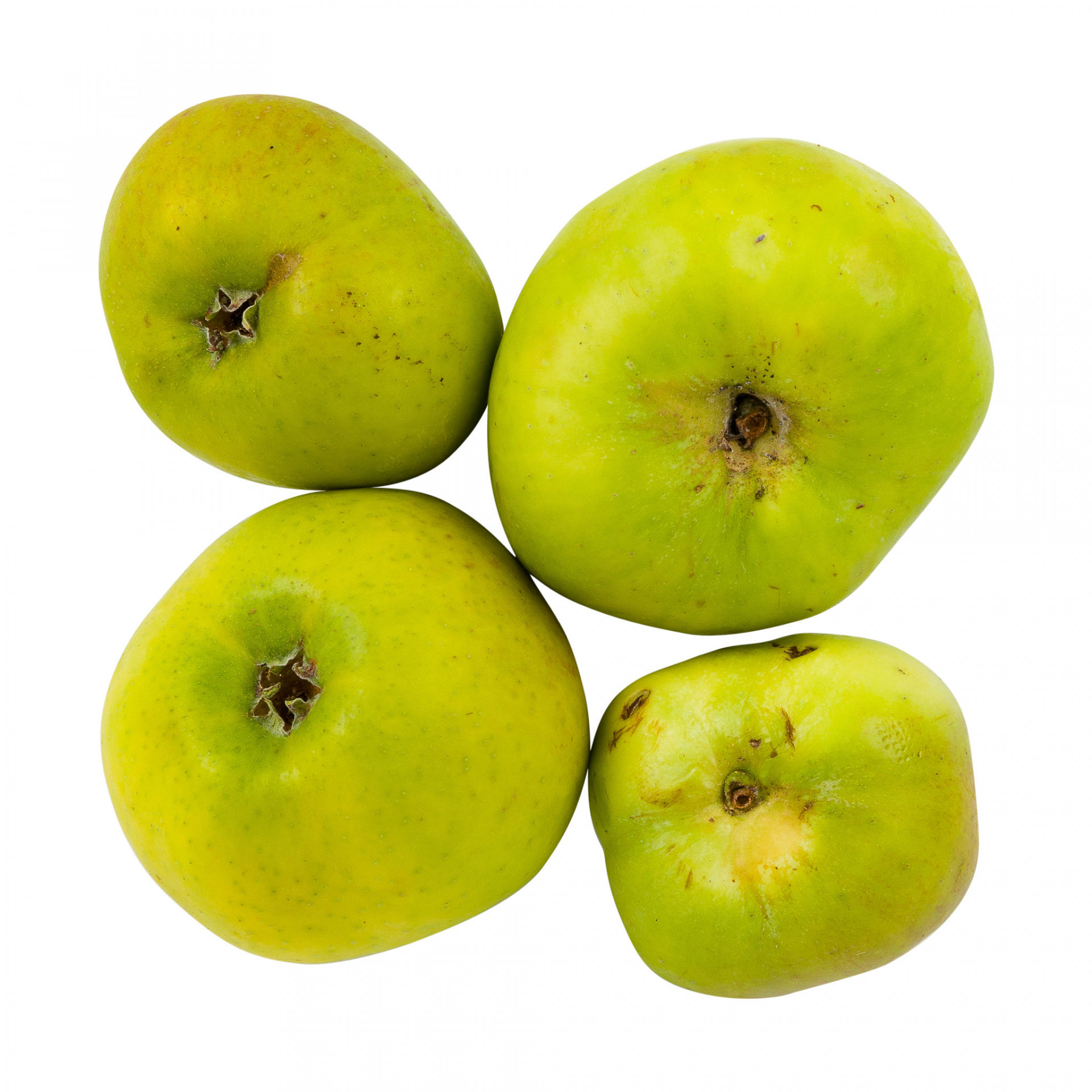 Apples Bramley kilo Albion Fine Foods Ltd.