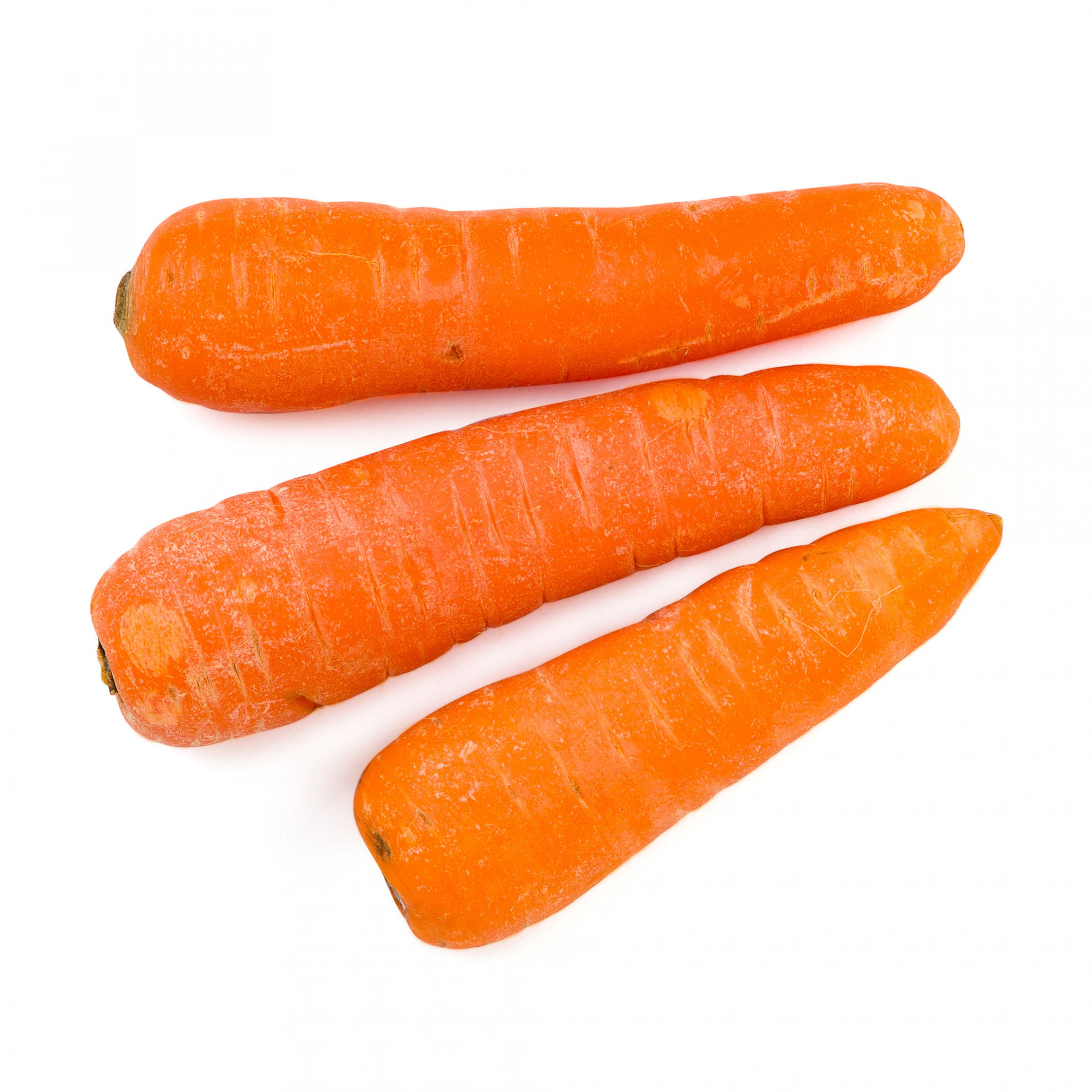 Carrots kilo Albion Fine Foods Ltd.