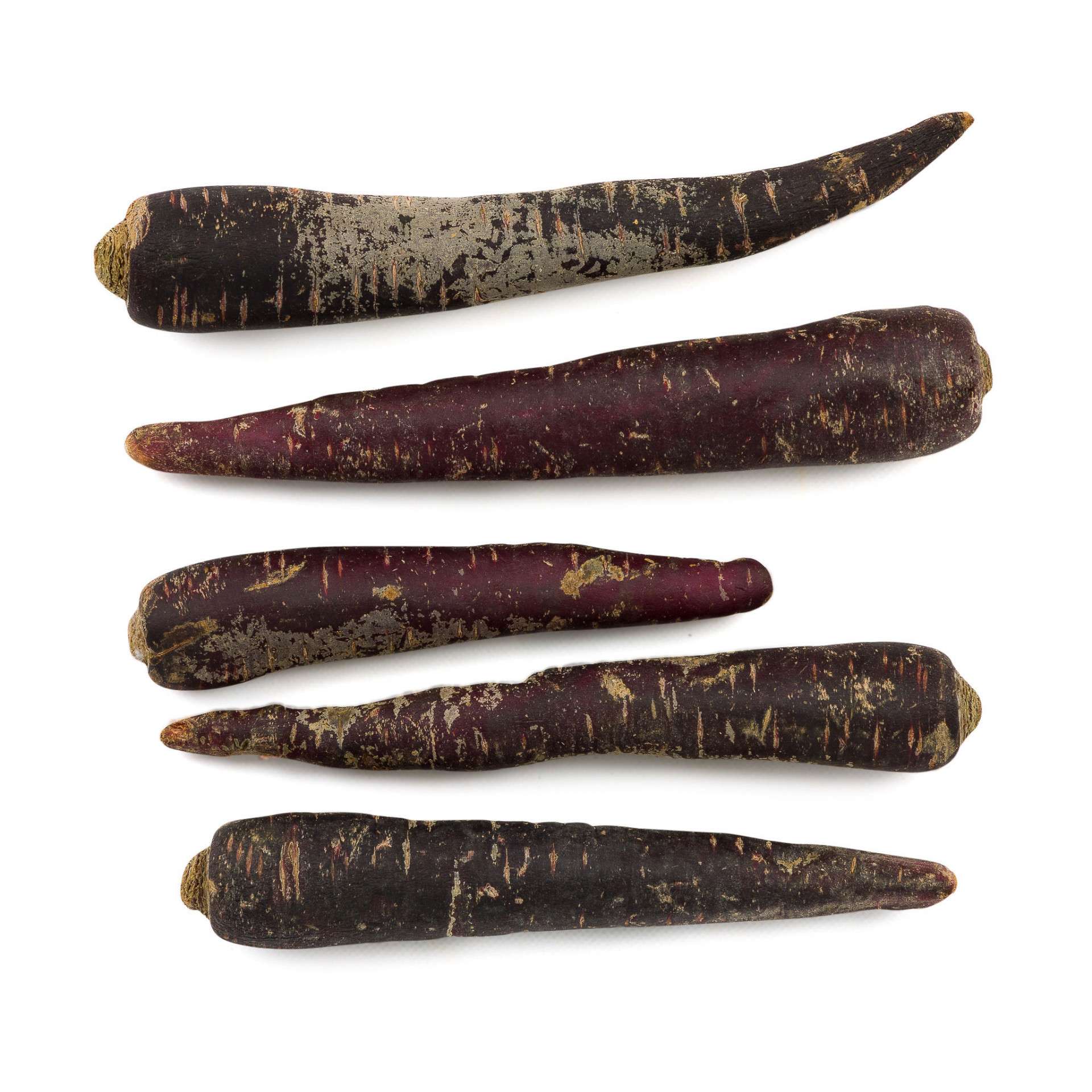 Purple Carrots kilo Albion Fine Foods Ltd.