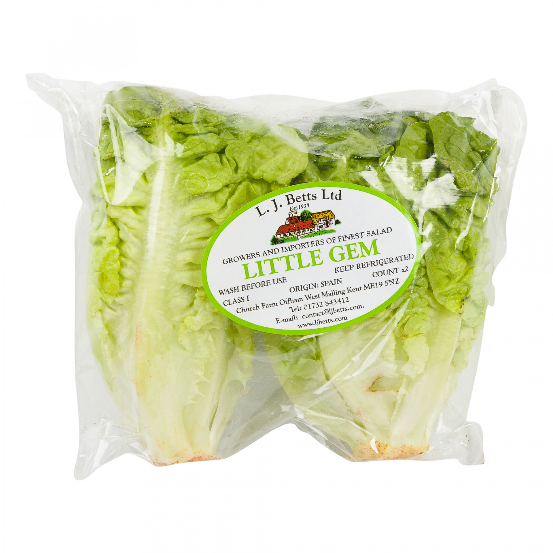 Lettuce Little Gem 2 Pack Albion Fine Foods Ltd.