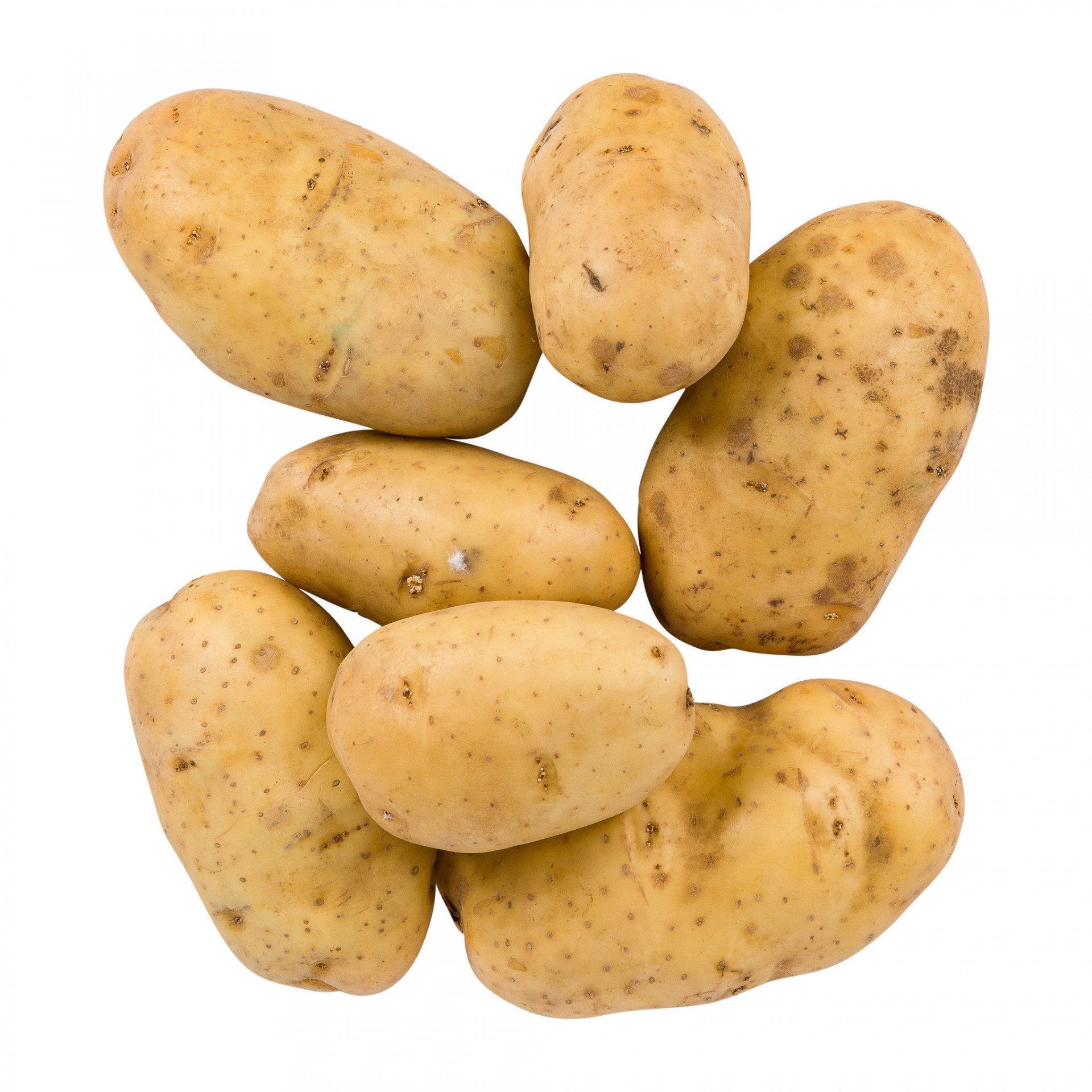 Large Potatoes kilo Albion Fine Foods Ltd.
