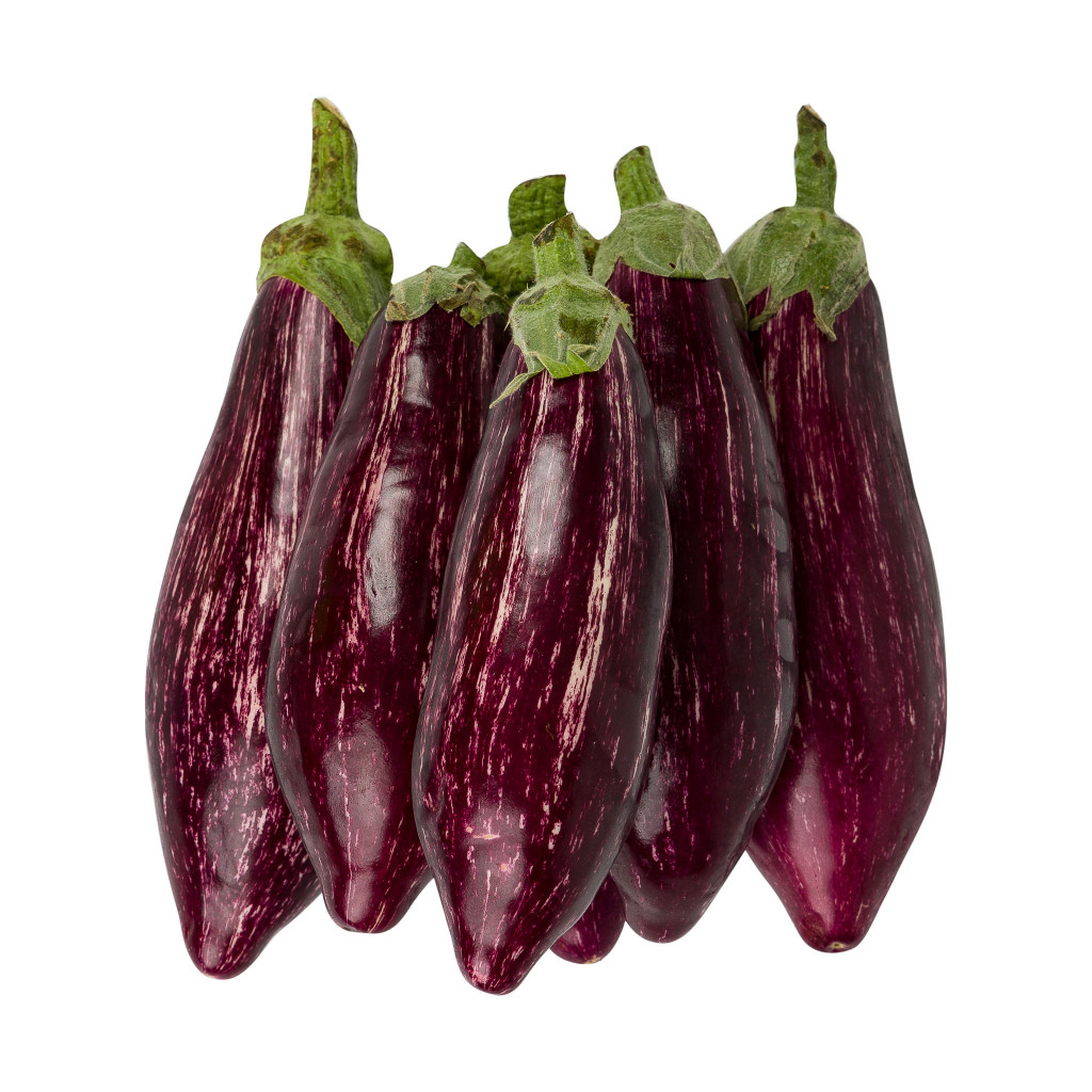 Striped Aubergine 