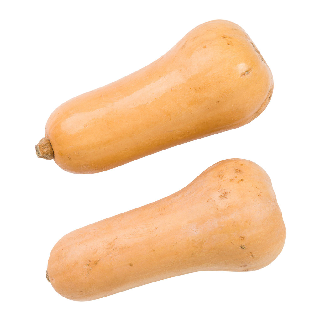 Butternut Squash