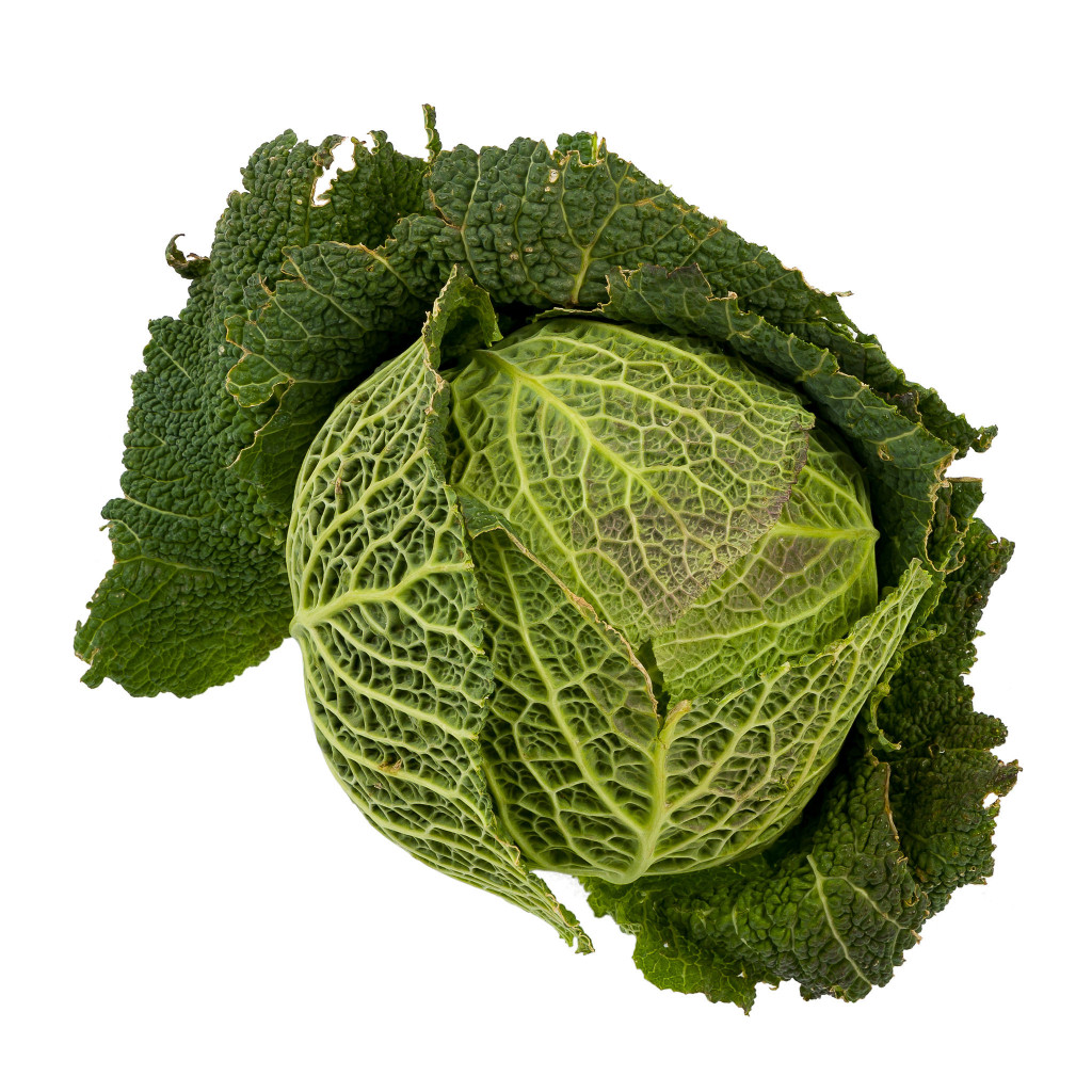 Fresh Savoy Cabbage XL