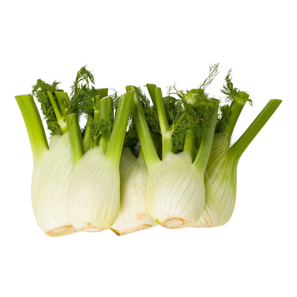 Fennel