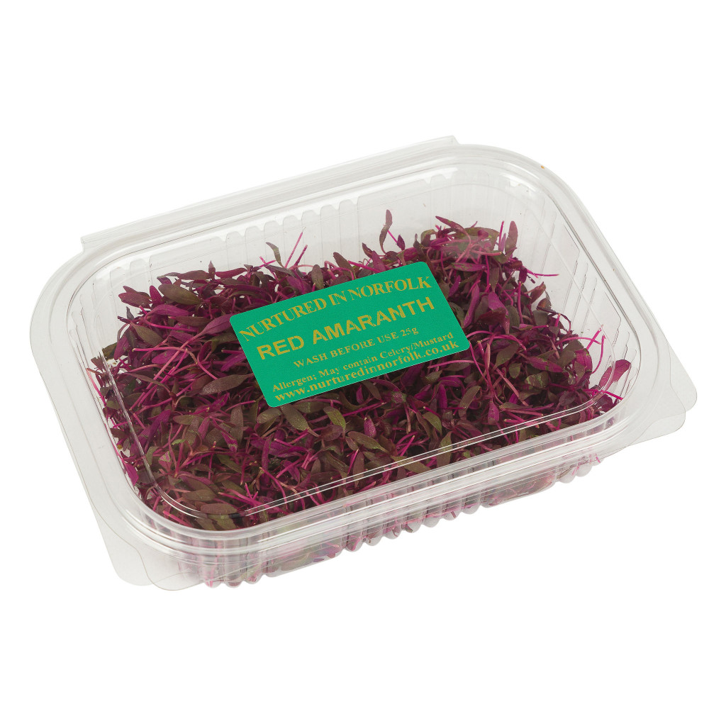 Micro Red Amaranth