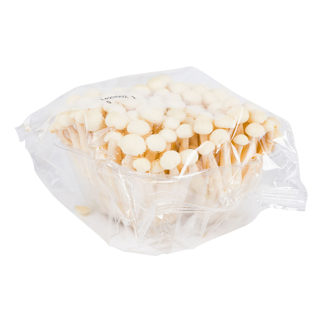 Shimeiji White Mushroom