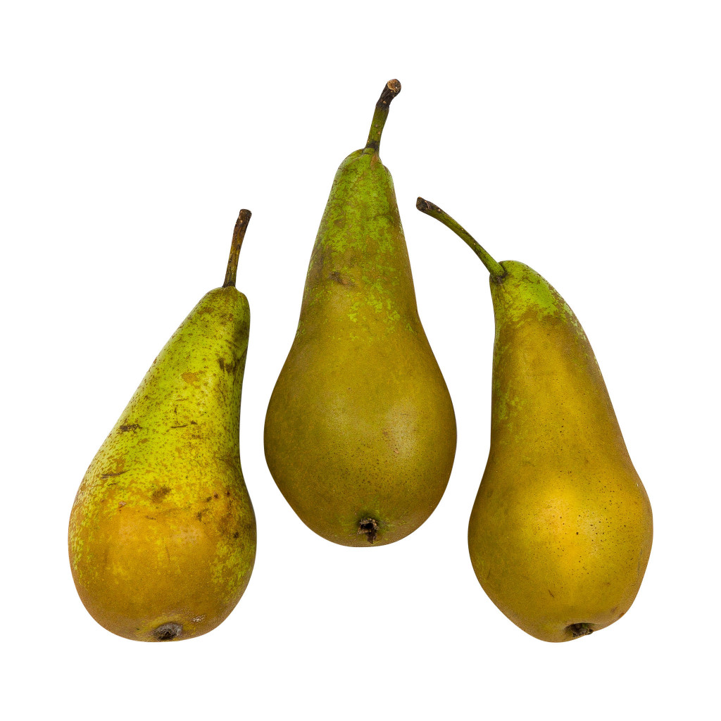 Pears Conference