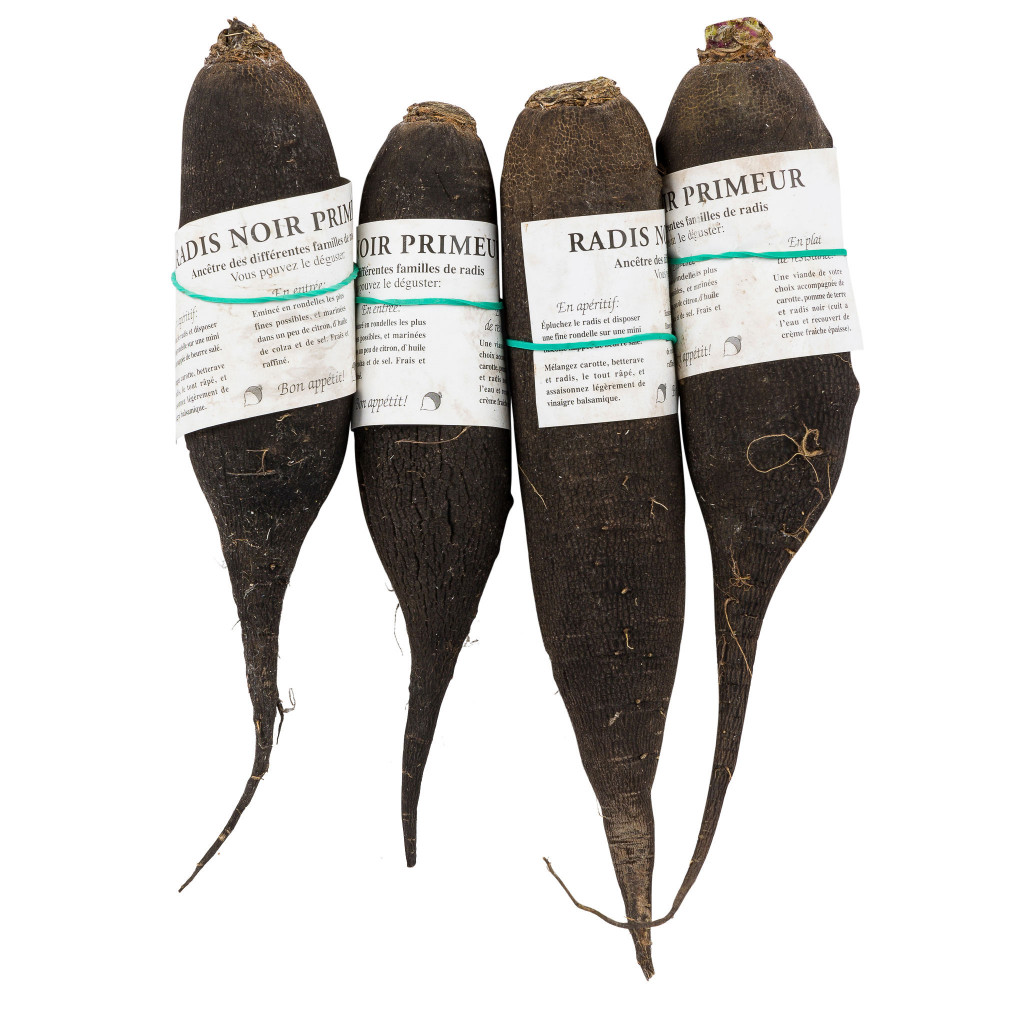 Black Radish