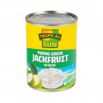 Jackfruit in Brine Tin