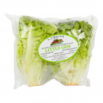 Lettuce Little Gem