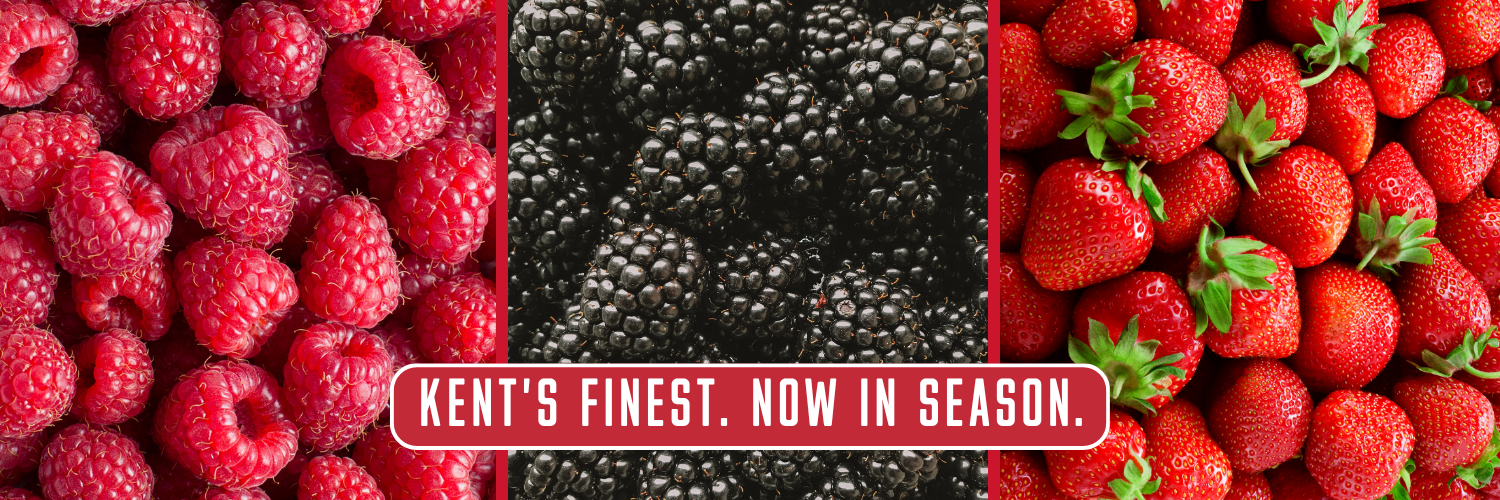 Hugh Lowe Farm Berries Banner 