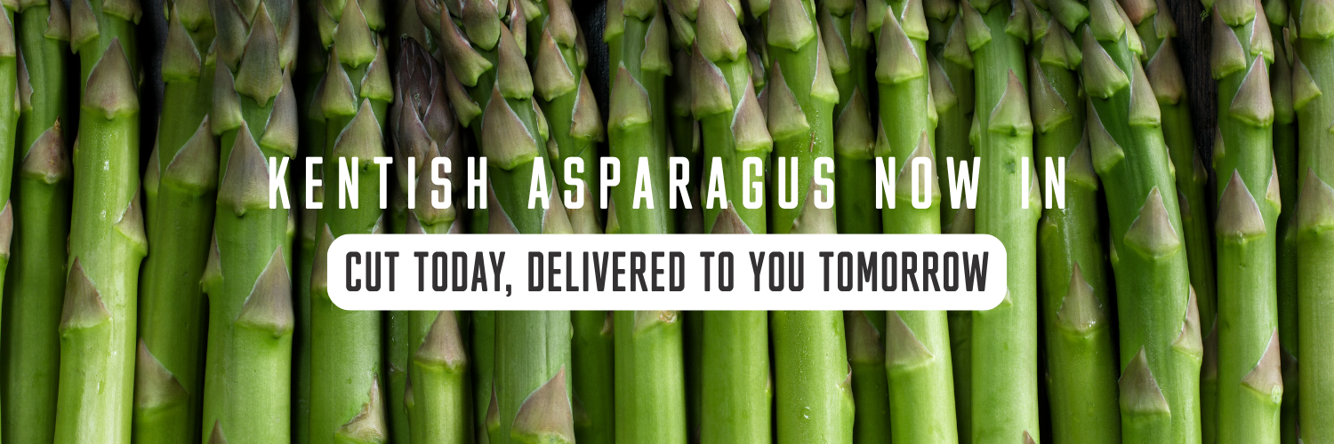Asparagus Kentish Banner