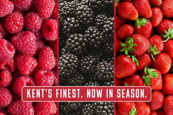 Hugh Lowe Farm Berries Banner 
